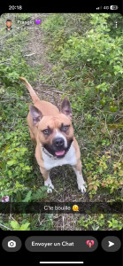 Photo de galerie - Je suis tellement heureux entouré de toute cette verdure ! 