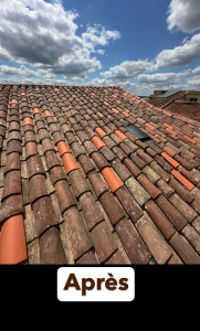 Photo de galerie - Remaniement toiture 