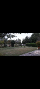 Photo de galerie - Tonte et débrousaillage sur 1500m2 