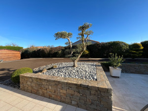 Photo de galerie - Olivier