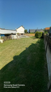 Photo de galerie - Tonte 


