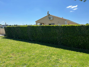 Photo de galerie - Taille de haie 