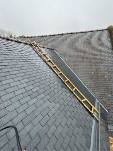 Photo de galerie - Traitement de toiture anti mousse 