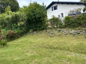 Photo de galerie - Débroussaillage et tonte 