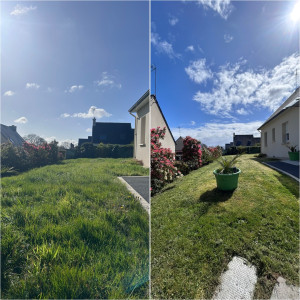 Photo de galerie - Tonte de pelouse - Débroussaillage