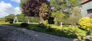Photo de galerie - Taille de haies et d'arbustes