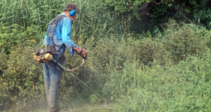 Photo de galerie - Tonte de pelouse - Débroussaillage