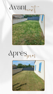 Photo de galerie - Tonte de pelouse - Débroussaillage