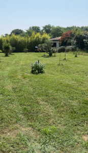 Photo de galerie - Tonte et entretien jardin 