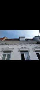 Photo de galerie - Peinture - Tapisserie