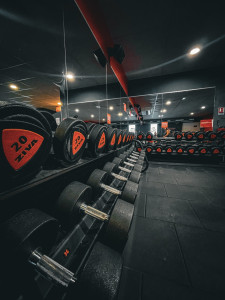 Photo de galerie - Photographe