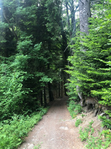 Photo de galerie - !