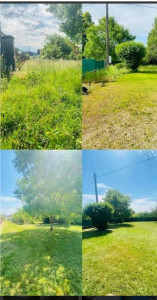 Photo de galerie - .