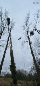 Photo de galerie - Démontage 