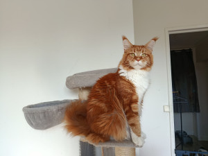 Photo de galerie - Mon gros tima ?