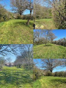 Photo de galerie - Entretien grand terrain :

Tonte intégrale de la surface
Taille au taille-haie de toutes les bordures et végétations hautes

Le terrain a été totalement remis au propre avec du matériel professionnel