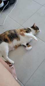 Photo de galerie - Moment détente 