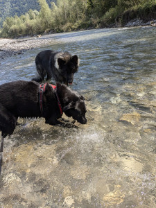 Photo de galerie - Petite journée plage avec les loulous