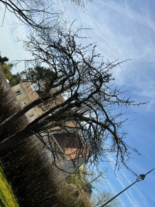 Photo de galerie - Avant 