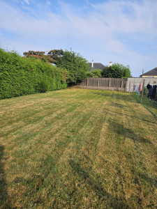 Photo de galerie - Coupe de pelouse sur 300m2