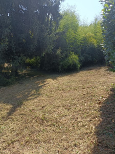 Photo de galerie - Après défrichage.