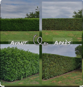 Photo de galerie - Jardinier