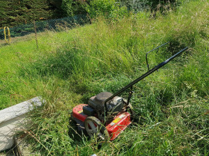 Photo de galerie - Débroussaillage 

