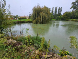 Photo de galerie - Entretien étang privé