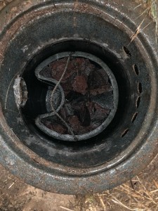 Photo de galerie - Terrassement - Assainissement