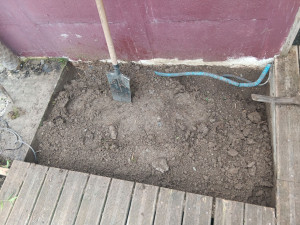 Photo de galerie - Après, arrachage de souches de bambous 