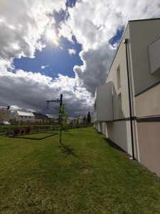 Photo de galerie - Tonte de pelouse et évacuations de l'herbe + passage de la débroussailleuse 