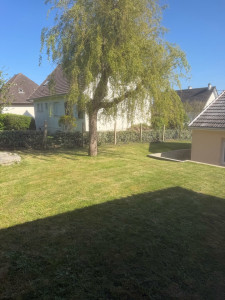 Photo de galerie - Tonte de pelouse 