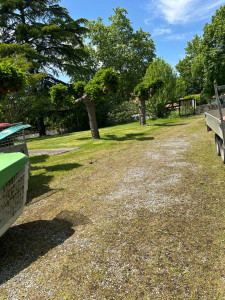 Photo de galerie - Tonte et débroussaillage d’un jardin 