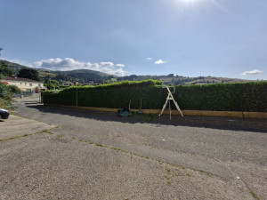 Photo de galerie - Taille d'une haie de laurier avec rabatage de 1m20 sur le côté  et 70 cm sur le haut sur 120 m de longueur
