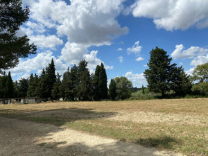 Photo de galerie - Tonte de pelouse - Débroussaillage