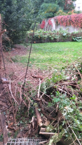 Photo de galerie - Entretien générale du jardin 