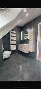 Photo de galerie - Rénovation d’une salle de bain