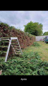 Photo de galerie - Apres