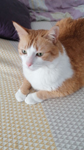 Photo de galerie - Rusty le beau gosse