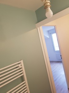 Photo de galerie - Peinture murs et plafonds dans tout l'appartement