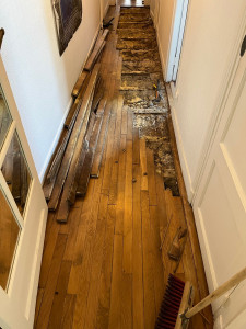 Photo de galerie - Reprise parquet 