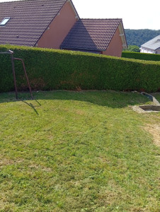 Photo de galerie - Tonte d'une pelouse 