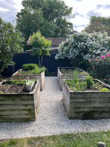 Photo de galerie - Jardinage, tonte de pelouse, de haie, terrassement, entretien. 