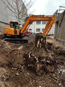 Photo de galerie - Manutention