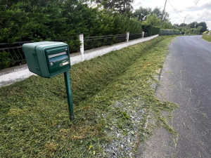 Photo de galerie - Je vous propose mes services en entretien espaces verts et autres 
