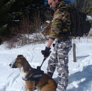 Photo de galerie - Séance d'éducation en Haute Savoie ooper