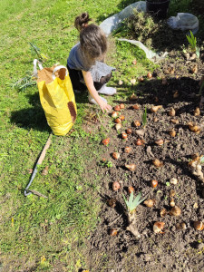 Photo de galerie - Activités avec ma petite fille 