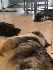 Photo de galerie - Un bon repos après plus d'une heure de jeu 