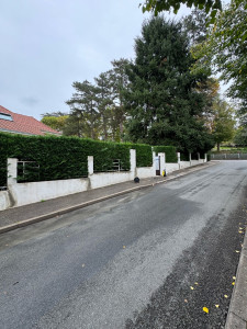 Photo de galerie - Remise à neuf d'un mur de clôture en peinture avec réparation des fissures