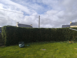 Photo de galerie - Taille de haies et d'arbustes